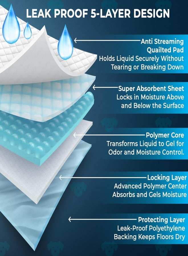 OTICA Pet Training Pad (10 pcs, 60 X 45 CM) - Pee Training Pad For Puppies, Dogs, Cats | 5 Layer Design Leak Proof Pads | Quick Dry Design - Image 4